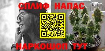 шишки Беслан