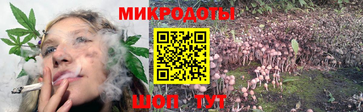 Псилоцибиновые грибы Psilocybine cubensis  Галлюциногенные грибы Psilocybe  Знаменск  Вход с VPN 