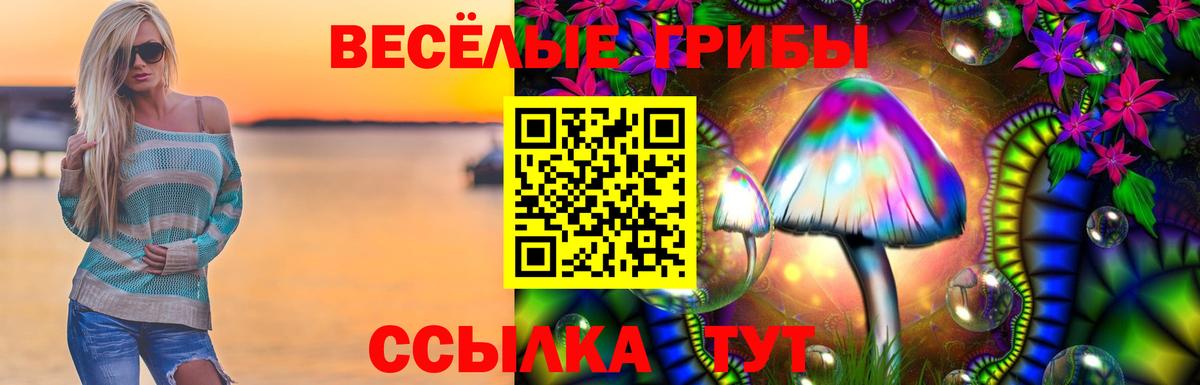 Галлюциногенные грибы ЛСД Знаменск